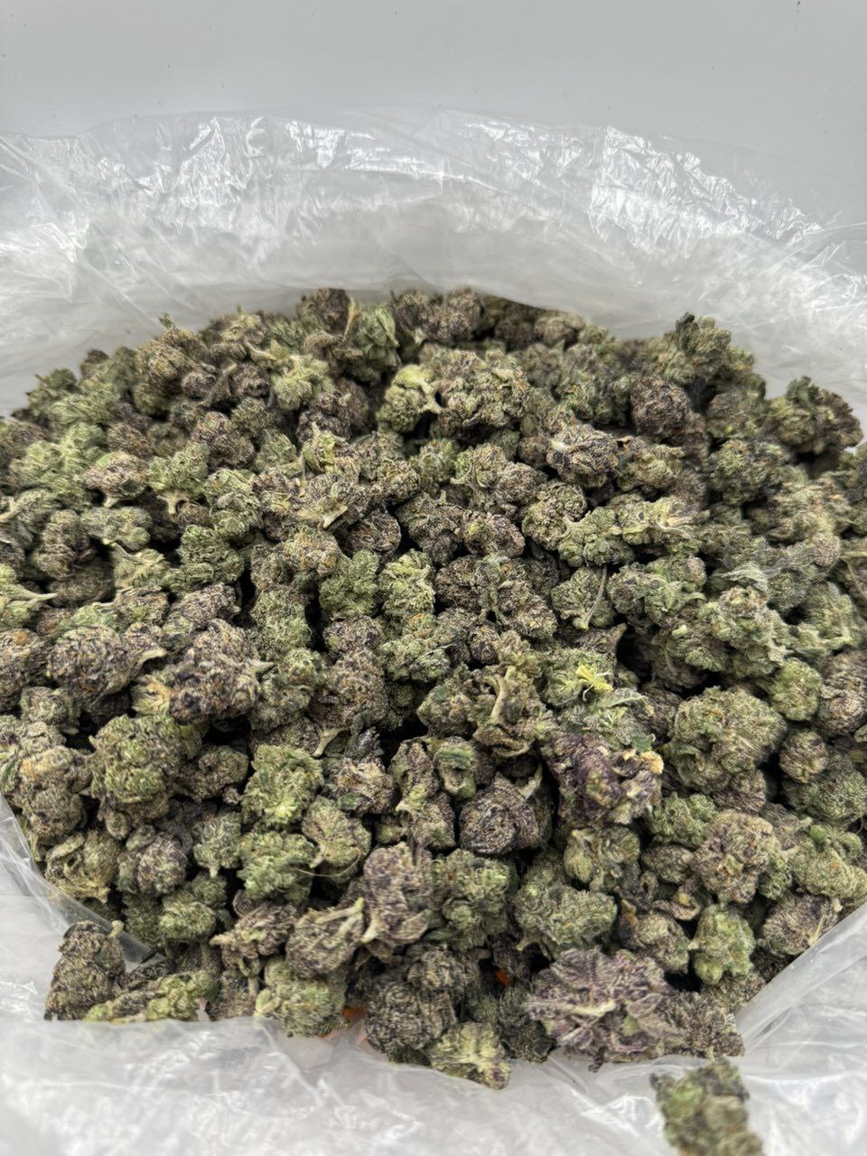 lemon cherry gelato strain , lemon cherry gelato , lcg strain , lemon cherry strain , lcg weed strain , lemon cherry gelato weed strain , cherry lemons , lemon cherry , lemon cherry strain leafly , cherry lemon strain , cherry lemon gelato strain , lemon cherry gelato leafly , cherried lemons strain , super lemon cherry gelato strain , leafly lemon cherry gelato , super lemon cherry strain , lcg weed , super lcg strain ,lcg cannabis , lemon cherry gelato strain effects , l.c.g strain , lemon cherry weed strain , lemon cherries strain , cherry lemonade gelato strain , super lemon cherry gelato , what strain is lemon cherry gelato , lemon cherry gelato indica or sativa , cherry lime gelato strain , lemon cherry gelato weed , lemon cheery gelato , lcg strain indica or sativa , leom cherry gelato , is lemon cherry gelato indica or sativa ,