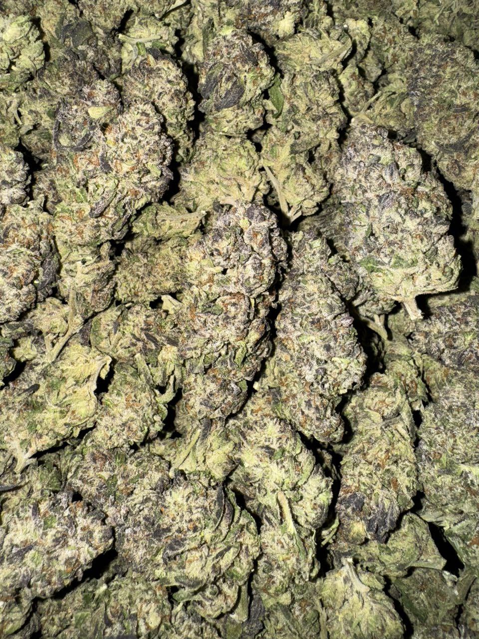 pablo's revenge strain , pablos revenge strain , pablos revenge , pablo's revenge , pablo strain , pablo revenge strain , pablo's revenge weed strain , pablos revenge weed strain , pablo weed strain , pablo's revenge strain review , pablo driver strain , ravens revenge strain , p wing strain leafly , pablos pineapple strain , pablos driver strain , sherb cake strain leafly