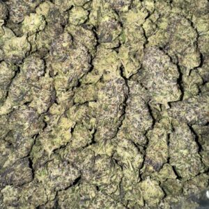 pablo's revenge strain , pablos revenge strain , pablos revenge , pablo's revenge , pablo strain , pablo revenge strain , pablo's revenge weed strain , pablos revenge weed strain , pablo weed strain , pablo's revenge strain review , pablo driver strain , ravens revenge strain , p wing strain leafly , pablos pineapple strain , pablos driver strain , sherb cake strain leafly