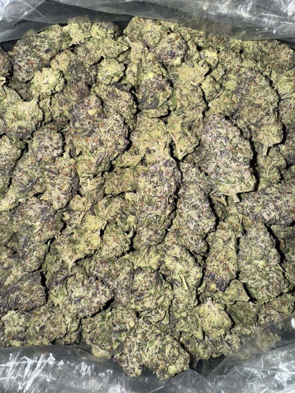 pablo's revenge strain , pablos revenge strain , pablos revenge , pablo's revenge , pablo strain , pablo revenge strain , pablo's revenge weed strain , pablos revenge weed strain , pablo weed strain , pablo's revenge strain review , pablo driver strain , ravens revenge strain , p wing strain leafly , pablos pineapple strain , pablos driver strain , sherb cake strain leafly