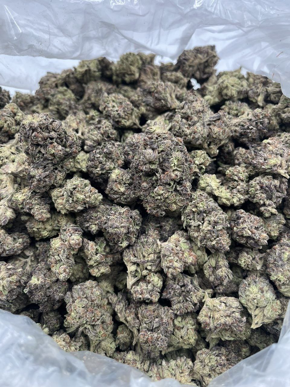 Grape soda strain , grape pop strain , grape soda weed strain , grape soda strain leafly , grape zoda strain , grape fanta strain , purple soda strain , grape soda weed , grape soda strain effects , grape cola strain , purple fanta strain , grape soda strain indica or sativa , grape soda , grape fizz strain , grape pie strain leafly